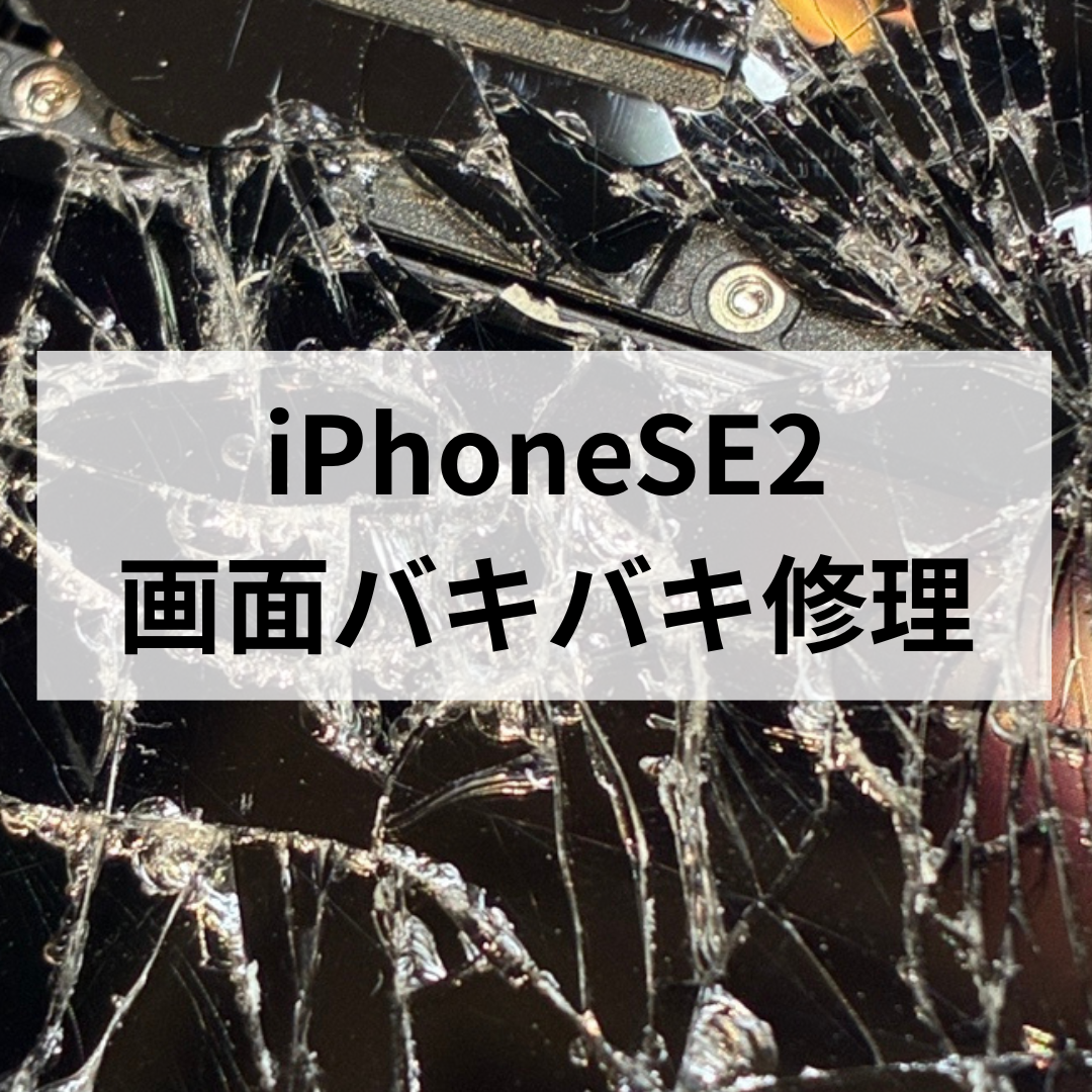 【2026年最新】iPhone SE（第2世代） 画面バキバキ修理は今！17e時代でも現役で使う理由📱スマホ修理工房天神地下街店